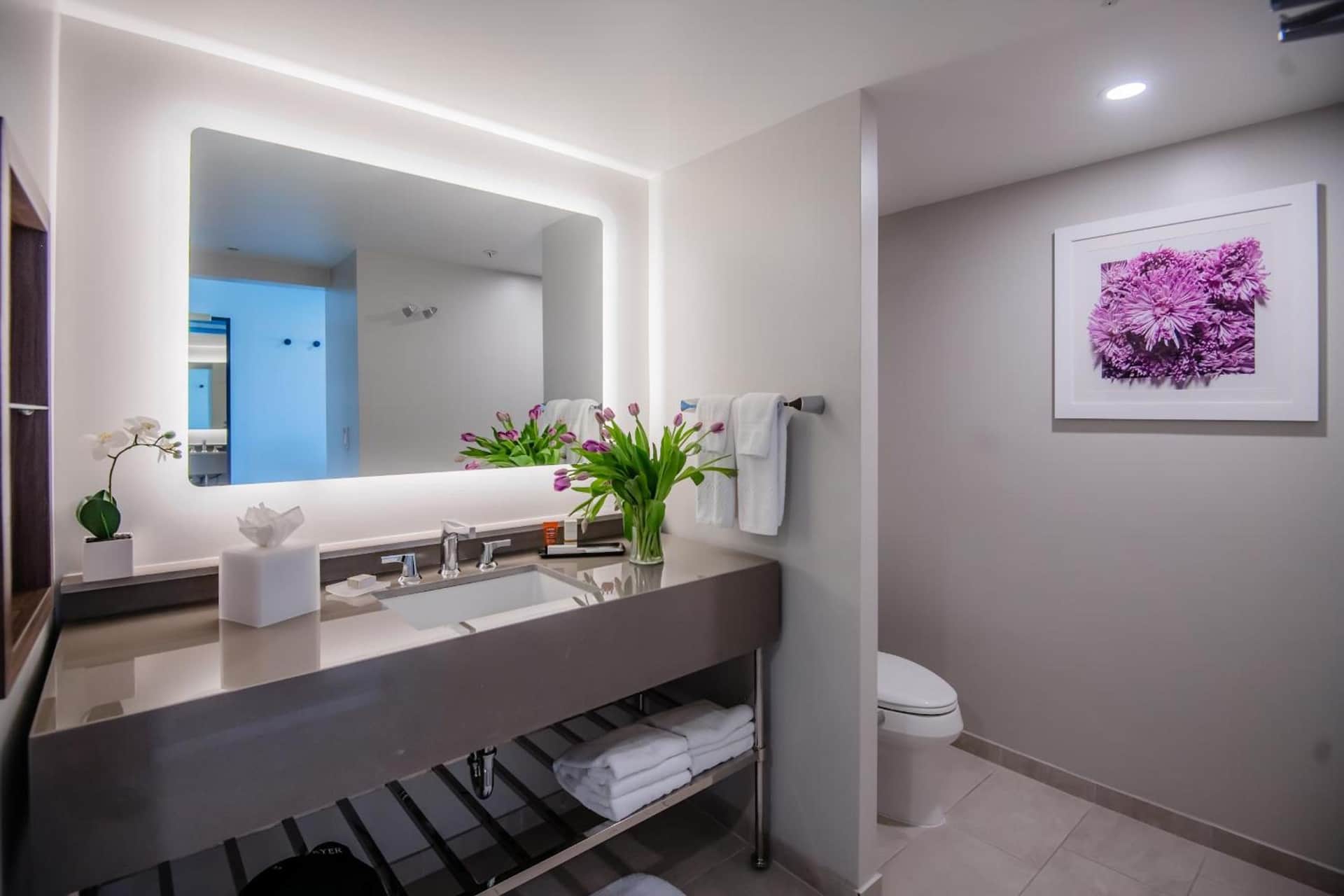 Hotel Madera
