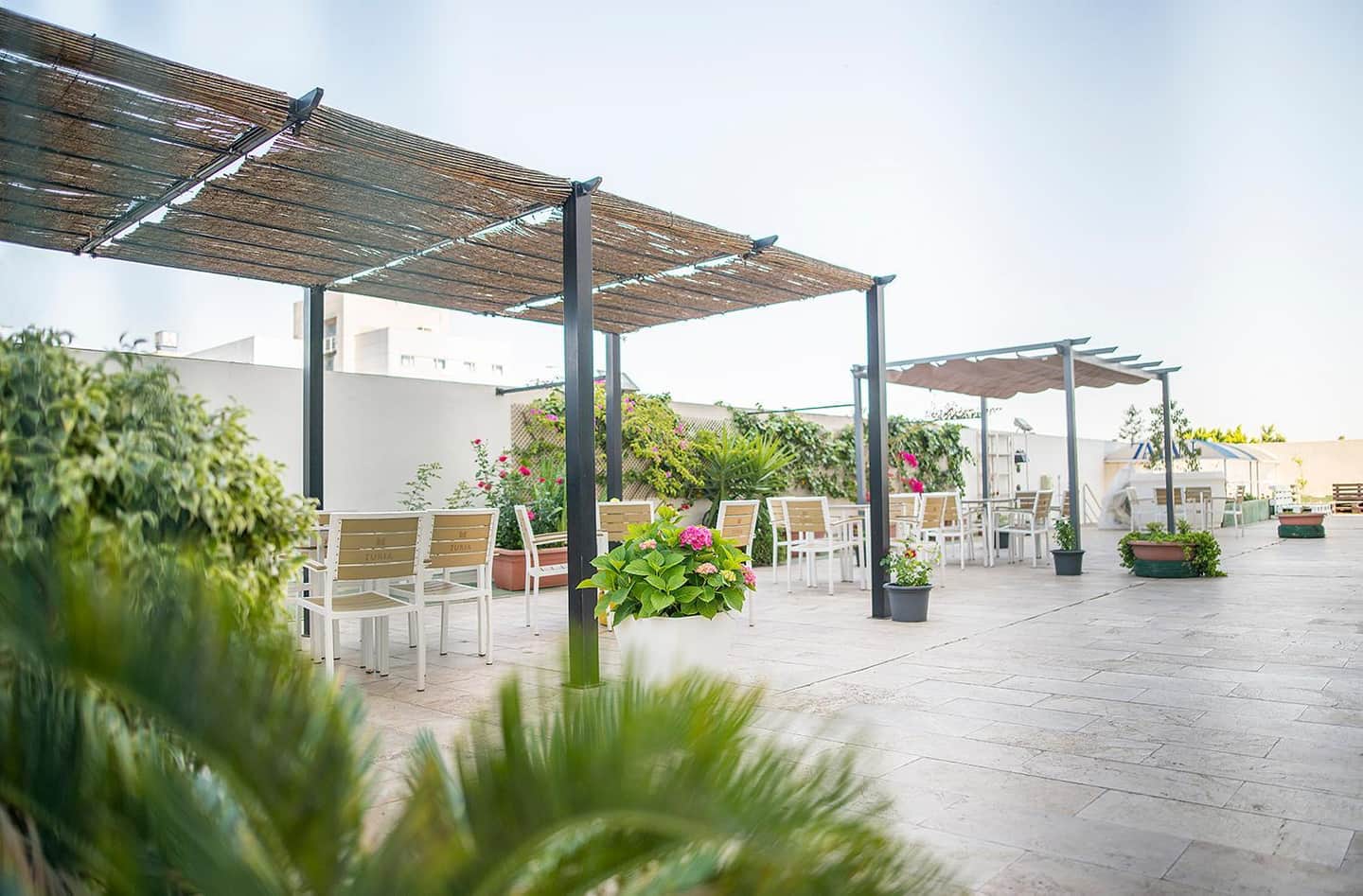 Xon's Valencia