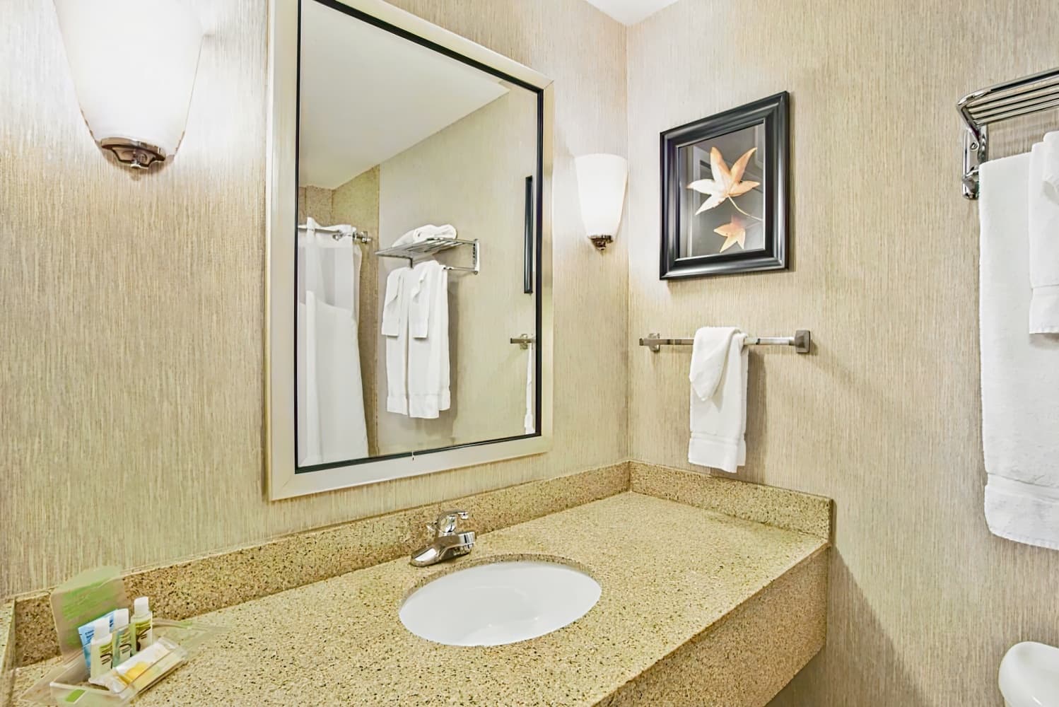 Holiday Inn Green Bay Stadium