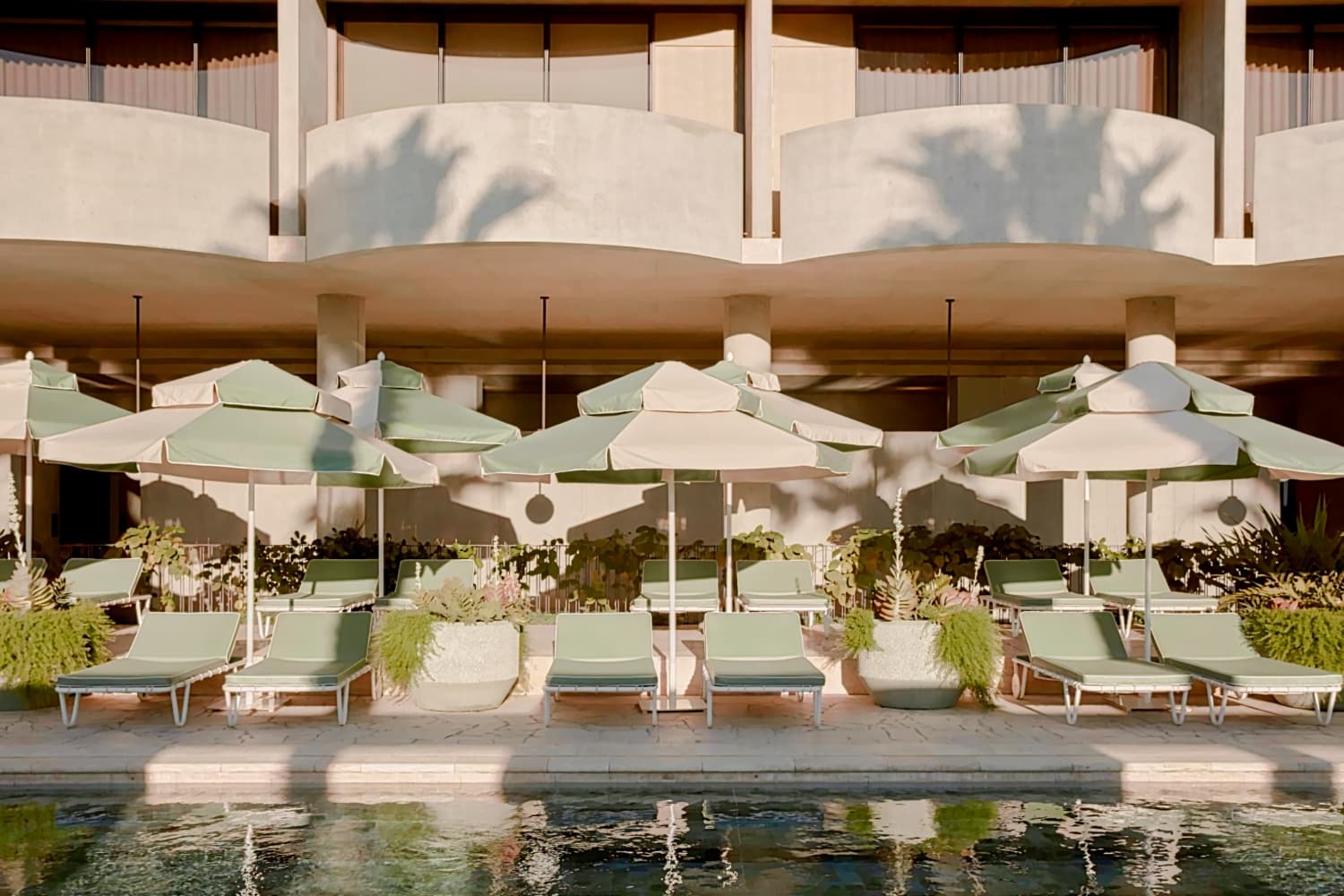 The Calile Hotel