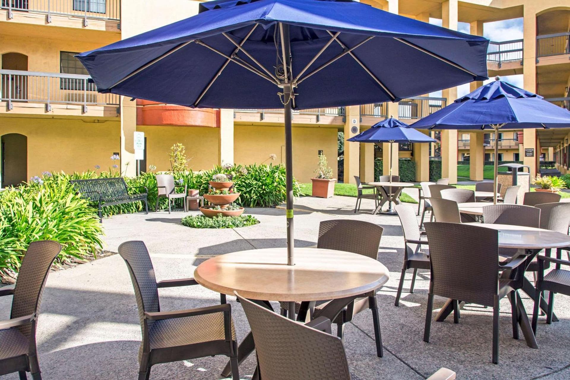Comfort Inn & Suites San Francisco Airport North