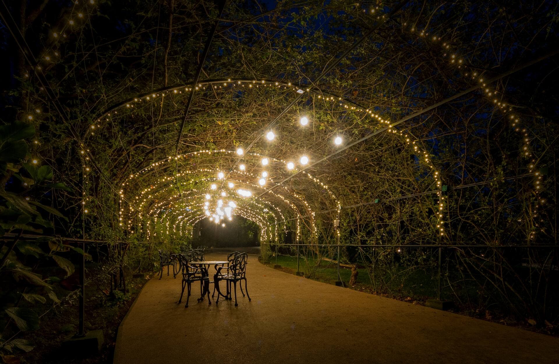 Boeira Garden Hotel Porto Gaia, Curio Collection by Hilton