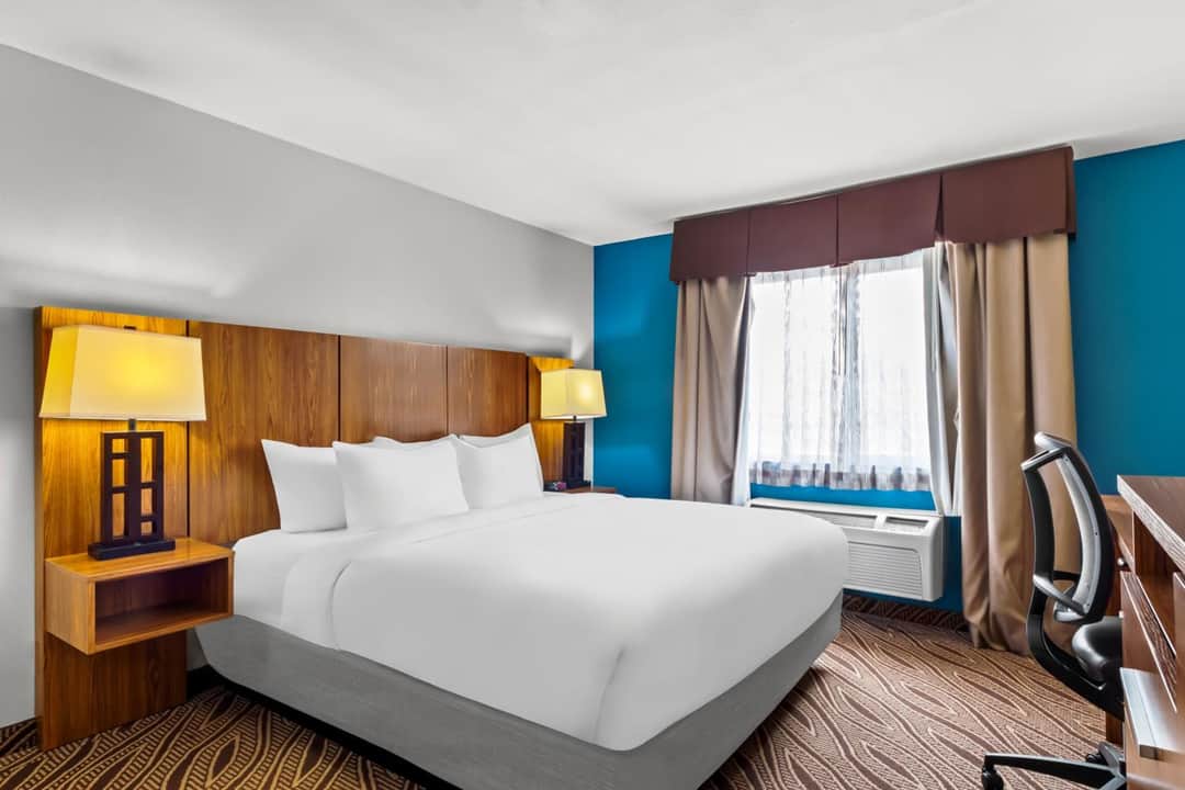 Quality Inn & Suites Airport North - Stone Oak