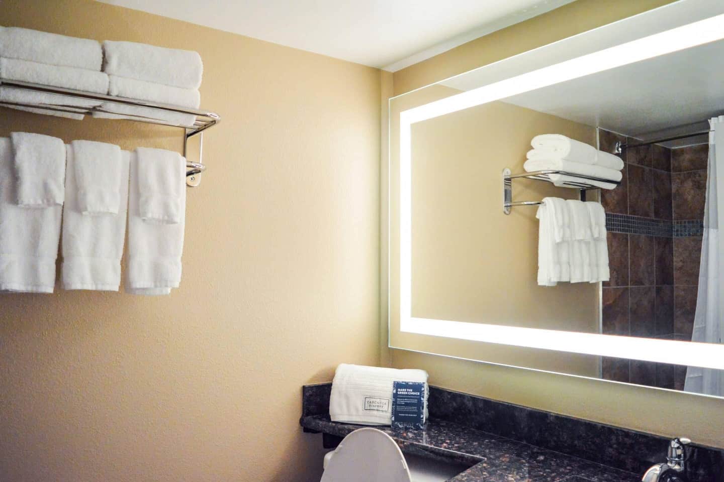 Radisson Hotel Orlando Lake Buena Vista South