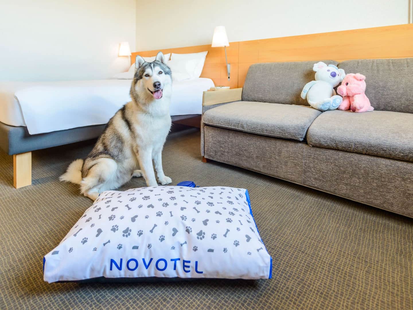 Novotel Torino Corso Giulio Cesare